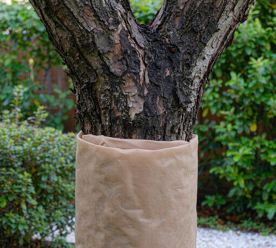 Tree trunk winter cover